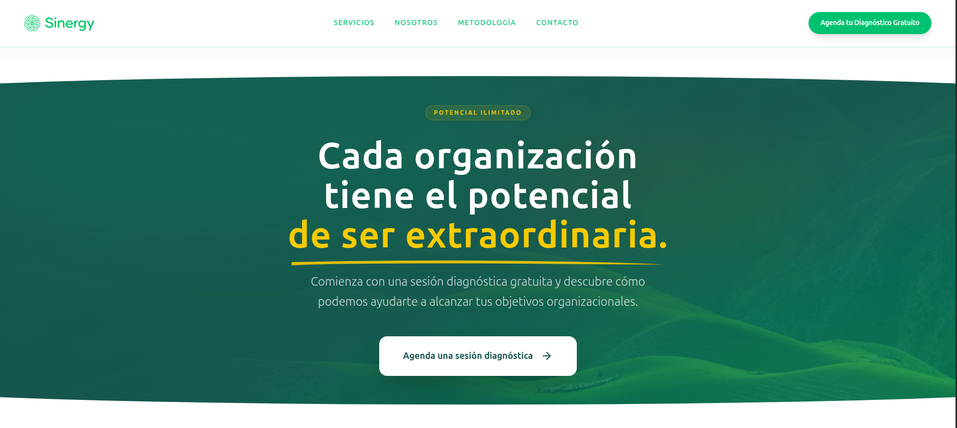 Sinergy Consulting Platform